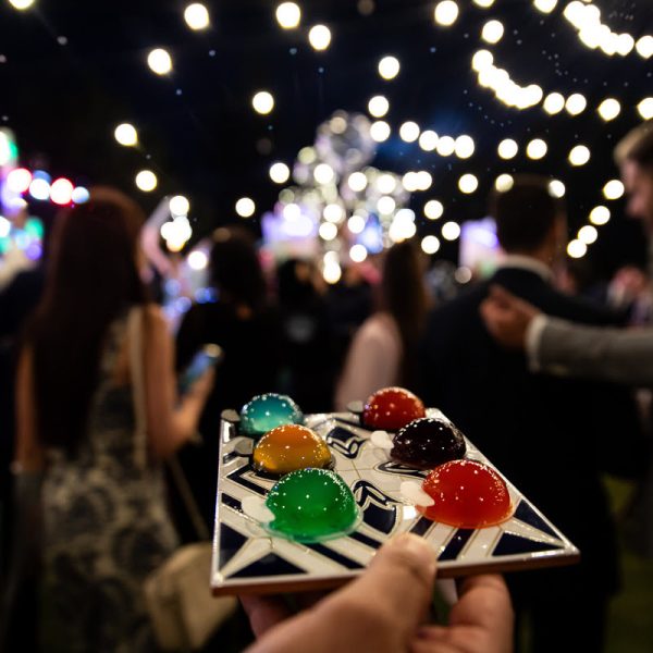 Fiesta para las Jellys